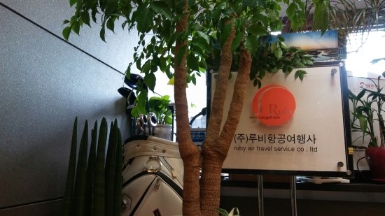 동양항공여행사 이미지