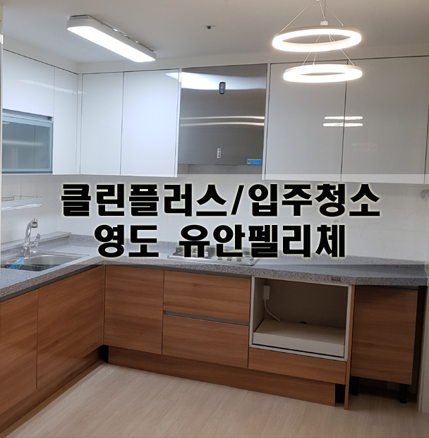 펠리체플러스 이미지