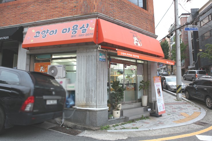 안녕, 미장원 이미지