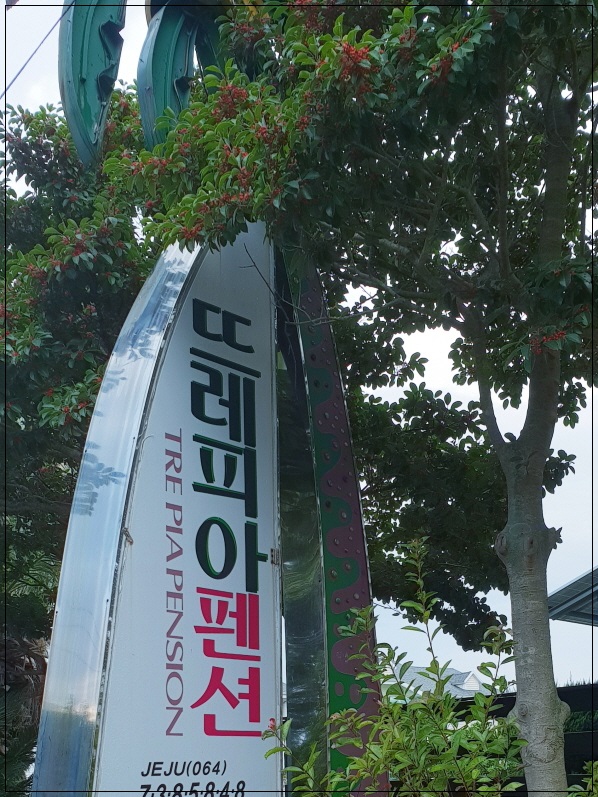뜨레피아 이미지
