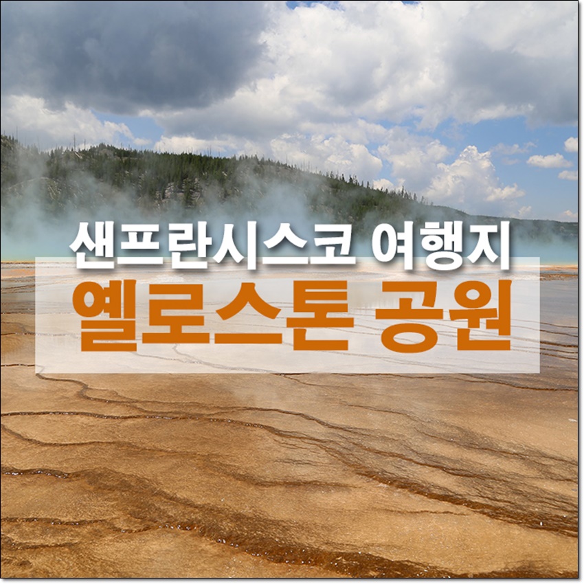 세우여행사 이미지