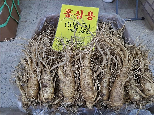 금산인삼사 이미지