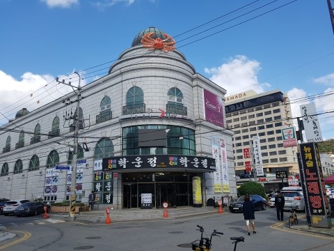 싱싱한게야 이미지