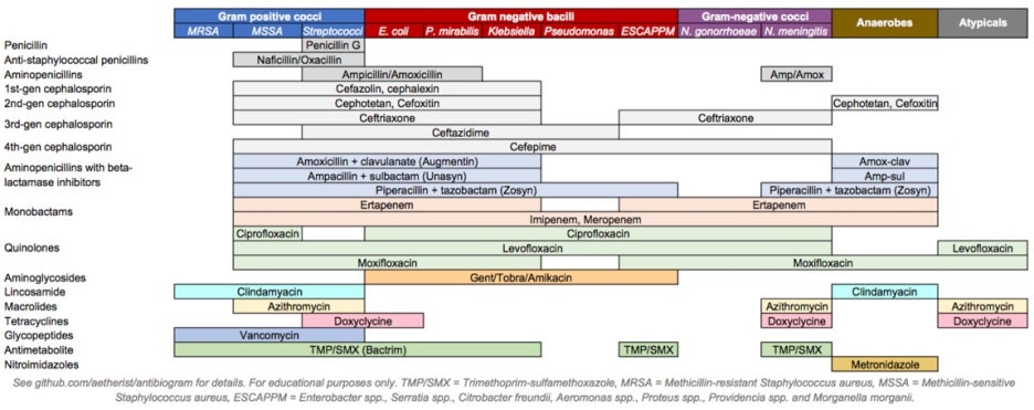 what-is-the-proper-duration-of-antibiotic-treatment-in-adults