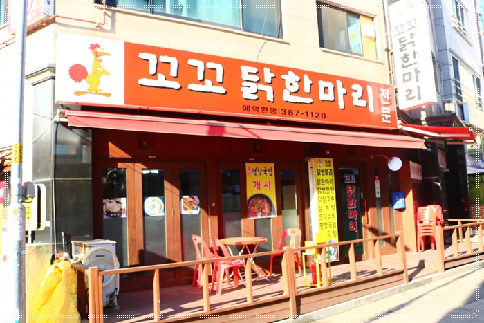 꼬꼬닭한마리 이미지
