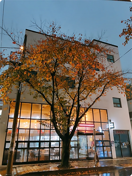 카페 홍(CAFE HONG) 이미지