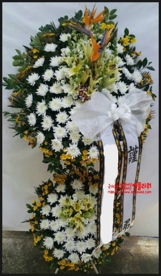 국가대표꽃배달엔플라워 이미지