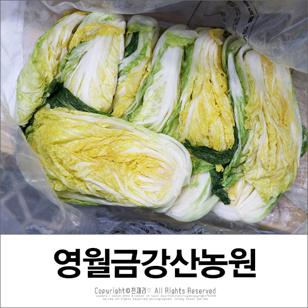 금강산농원 이미지