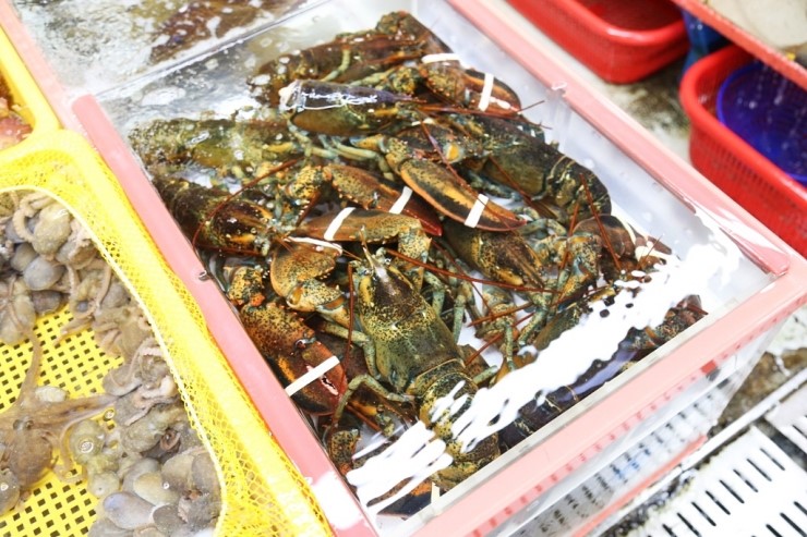 자갈치총각 이미지