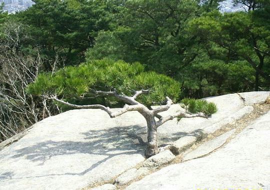 연(緣) 이미지
