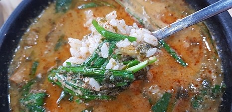 황당한장어 이미지