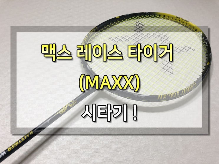 타이거스포츠 이미지