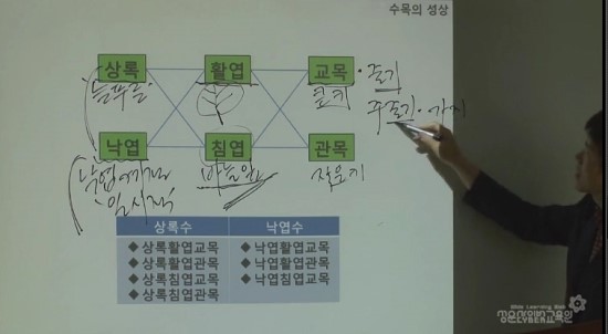 성운환경 이미지