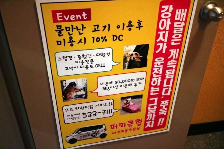 물만난댕댕이 이미지