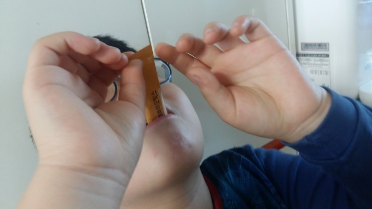 세이네이처 이미지