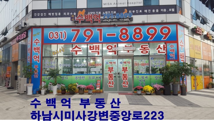 법무사이정규사무소 이미지