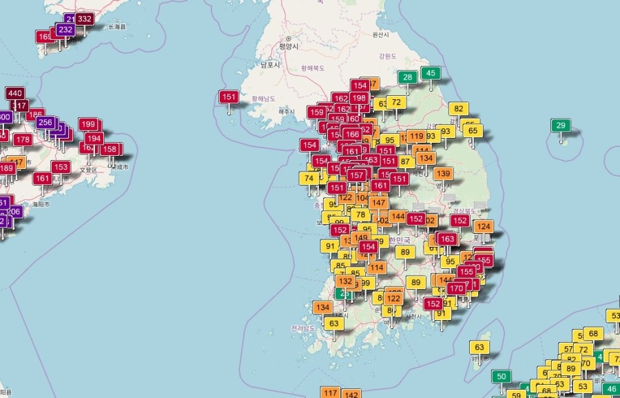 강남스타일약초백숙 이미지
