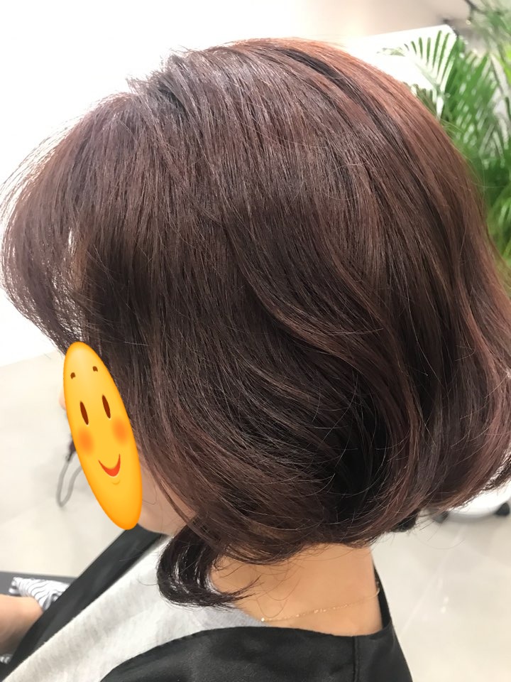 광명칼라 이미지