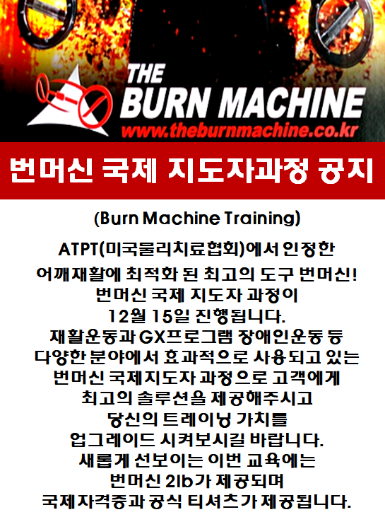 팀케이MMA짐 이미지