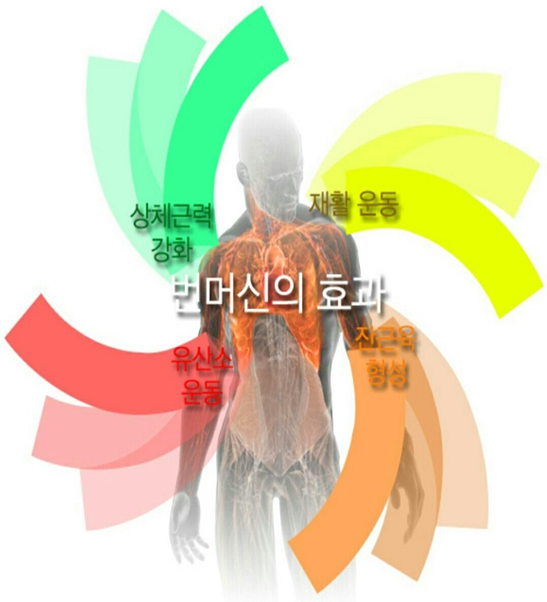 팀케이MMA짐 이미지