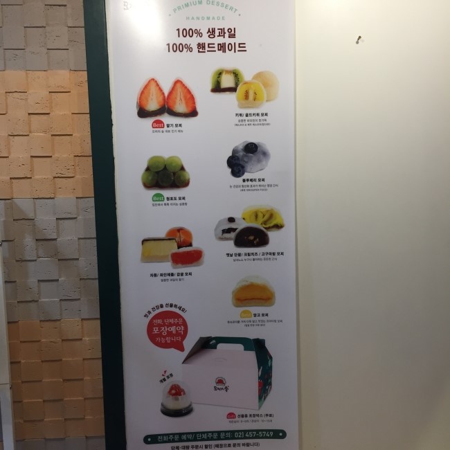 모찌의숲 이미지