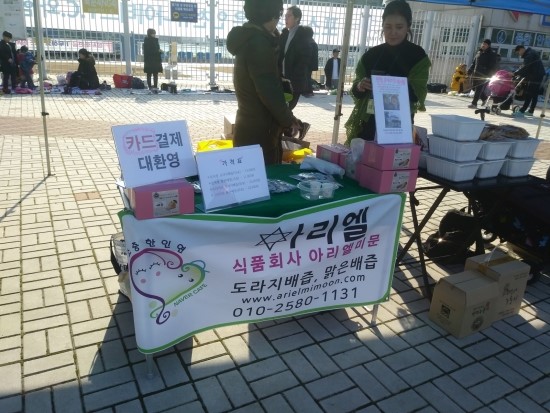 아리엘미문 이미지