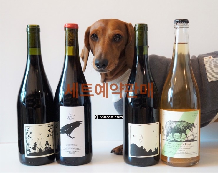 젠틀램 이미지