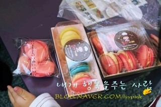 쫑아네 이미지