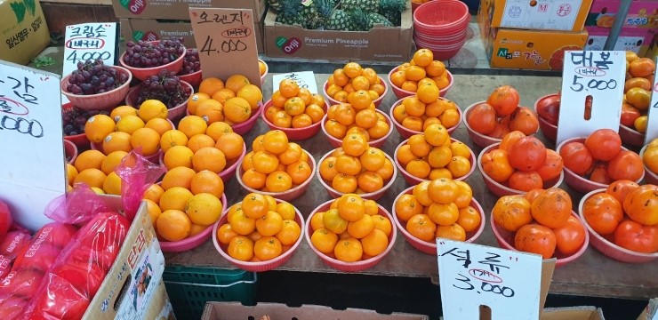 싱싱과일수산물 이미지