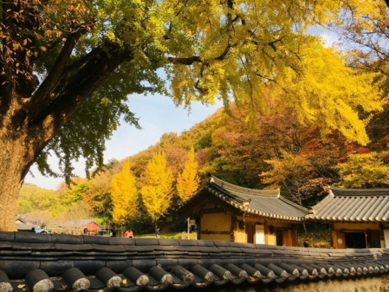 새한상사 이미지