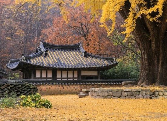새한상사 이미지