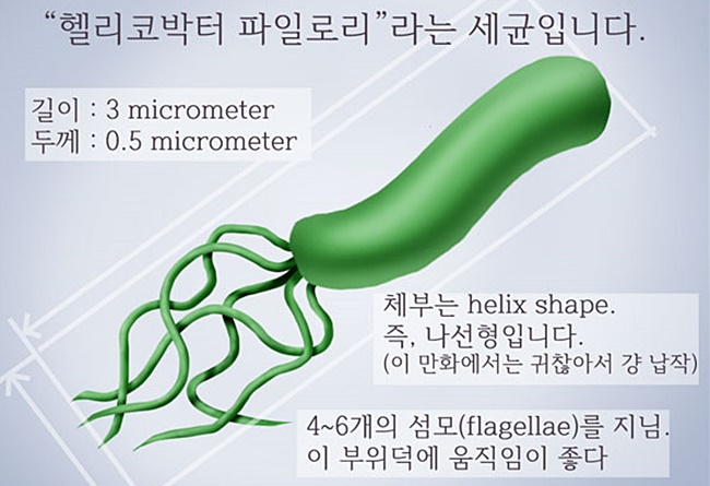 아리스휘트니스 이미지