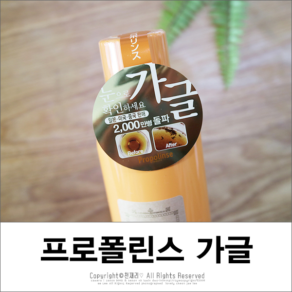 지앤메디 이미지