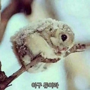 쇼카페(SHOW CAFE) 이미지