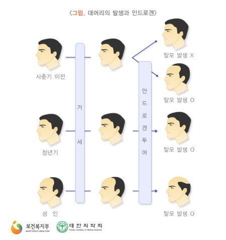 (주)리뉴메디 이미지