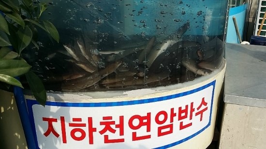 풍천장어나라 이미지