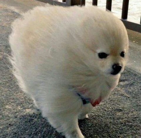 화명반점 이미지