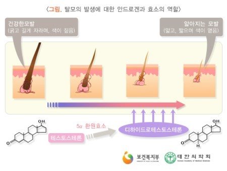 (주)리뉴메디 이미지