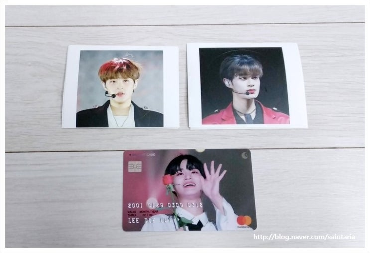 딜라잇시즌 이미지