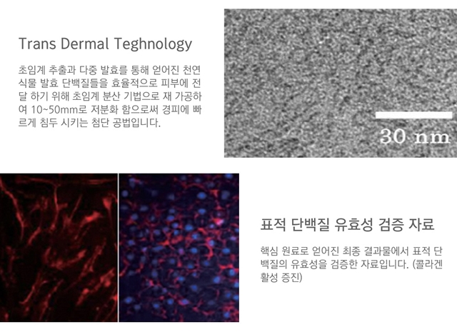 베베마쎄 이미지