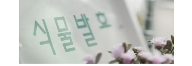 베베마쎄 이미지
