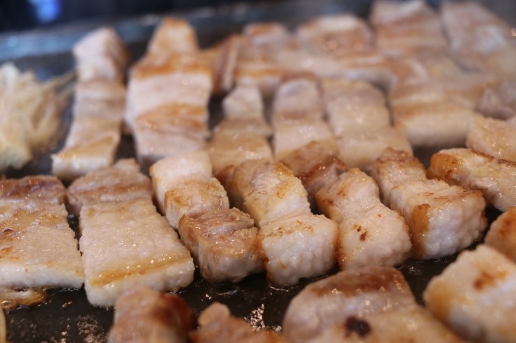 고기마니 이미지