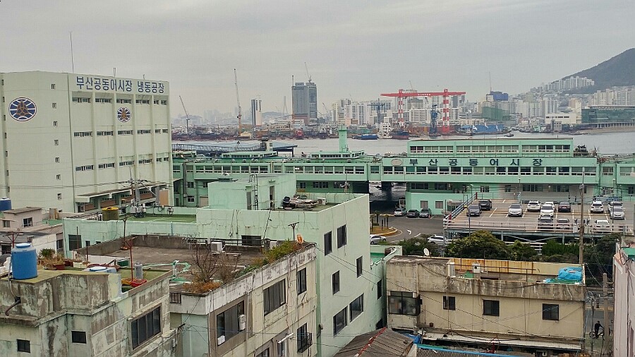 남부민초등학교 이미지