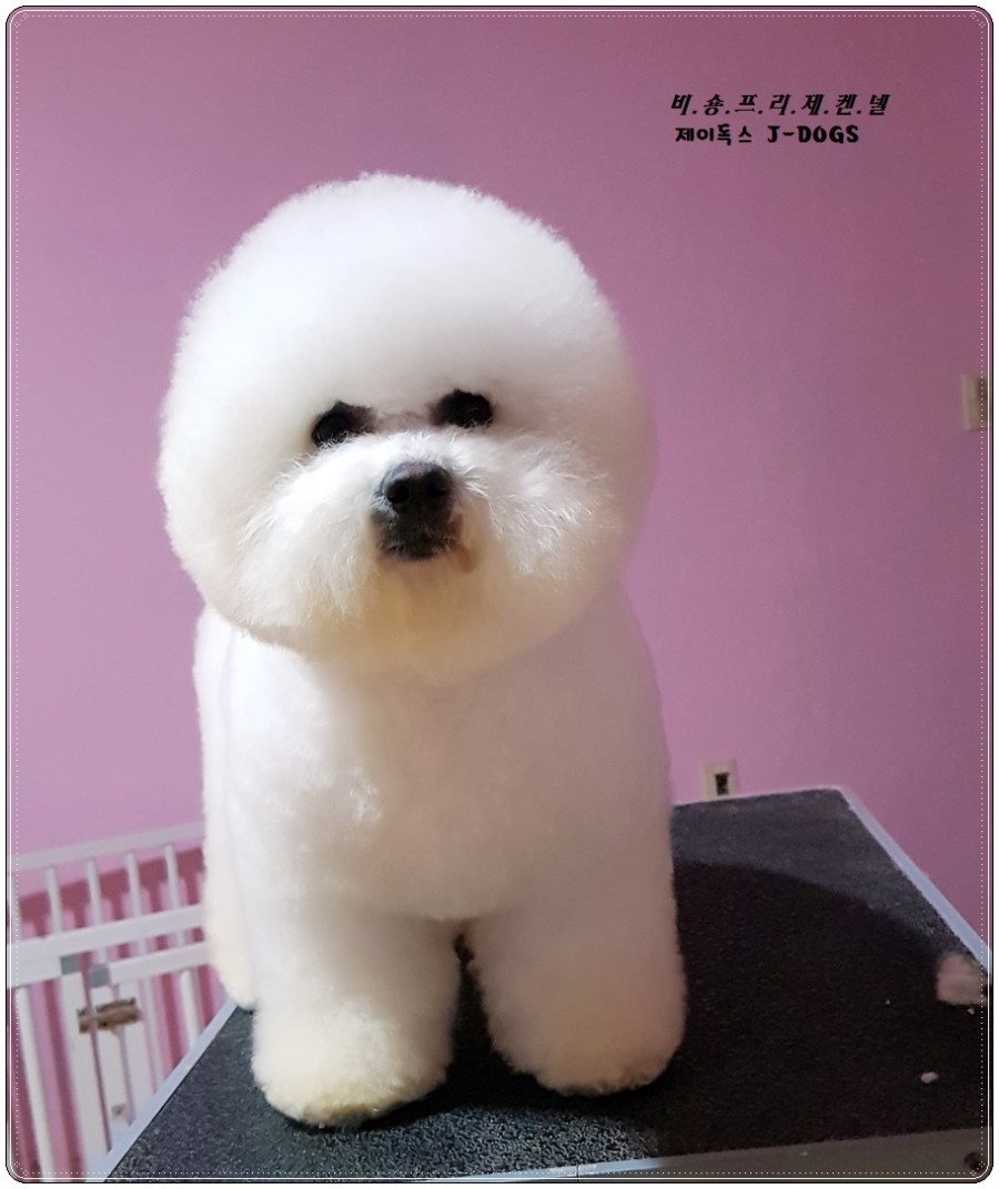 제이내일도맑음 이미지