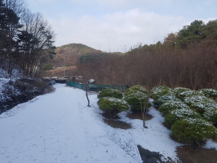 오도산식당 이미지