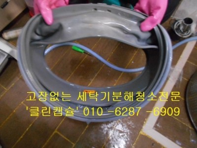 클린DD 이미지