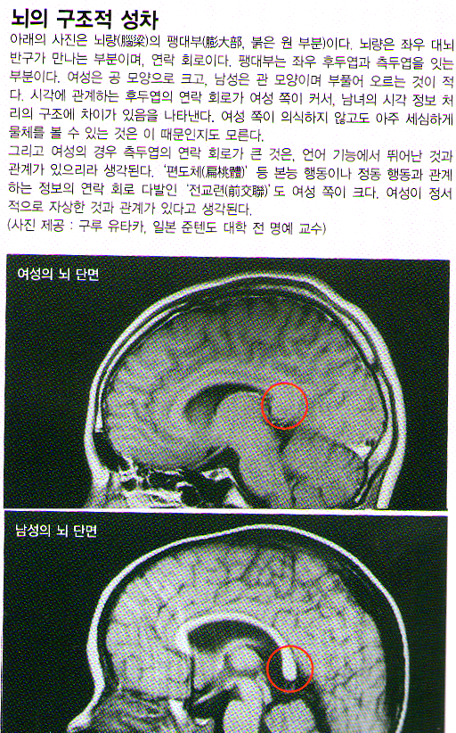 국어자신감 이미지