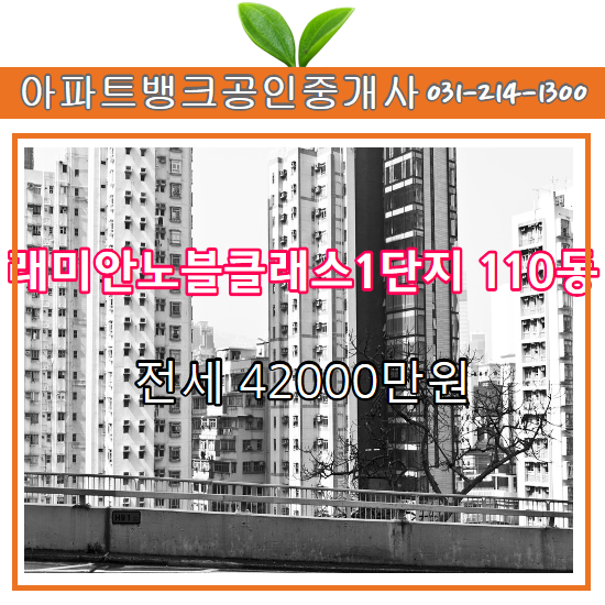 노블클래스 이미지