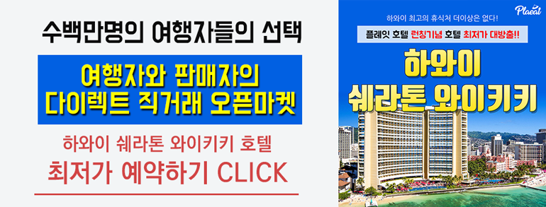 플레잇PC 이미지