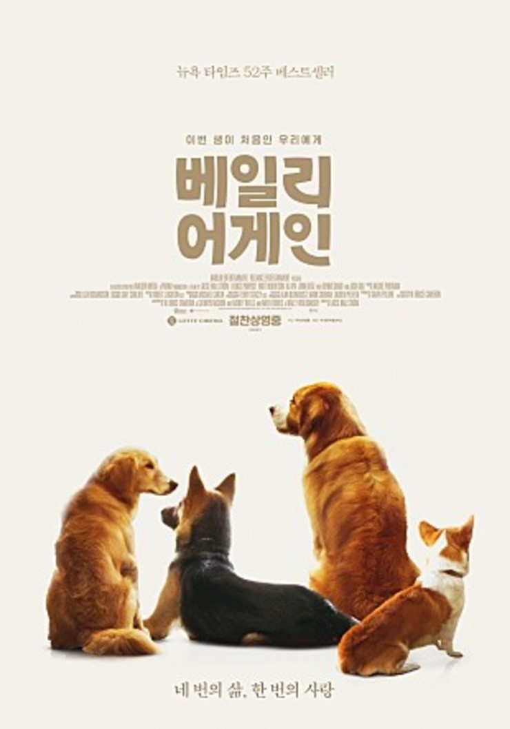 어게인생 이미지